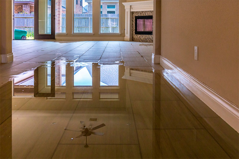 Why immediate water damage mitigation is crucial after a leak or flood